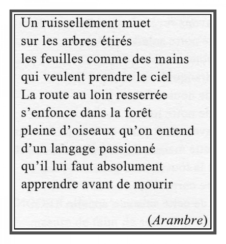 ruissellement.jpg